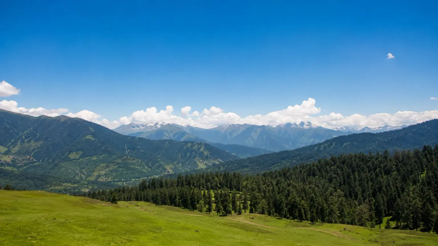 Strawberry Valley, Gulmarg