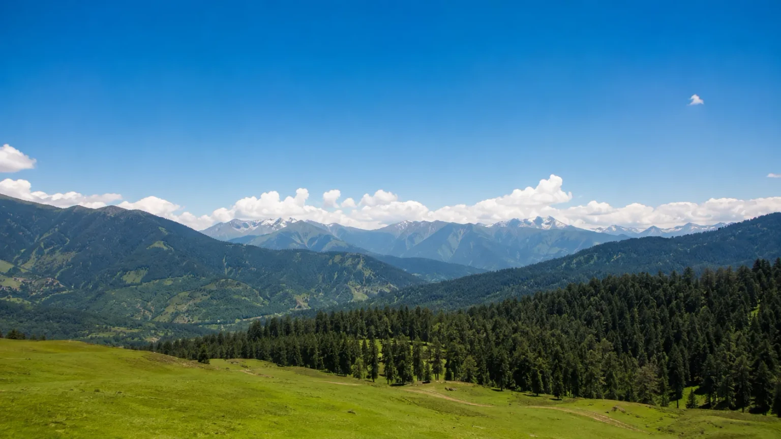 Strawberry Valley, Gulmarg