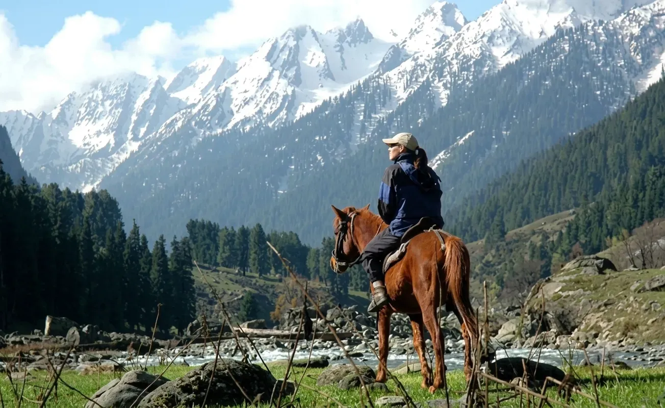 Pony Ride Through the Meadows in gulmarg