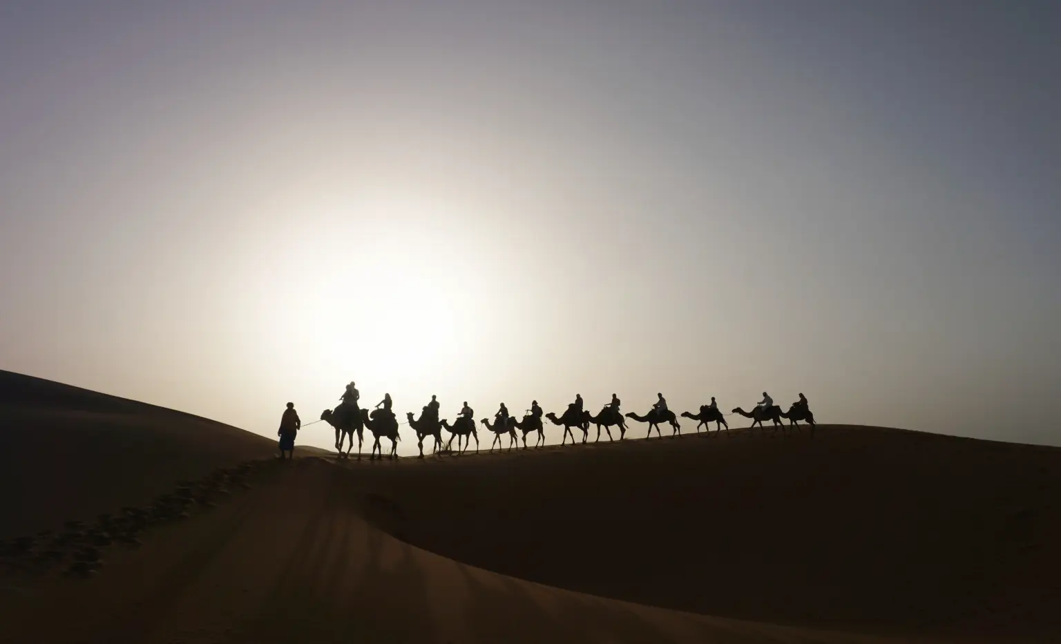 Camel caravan in Sahara desert at sunset Morocco