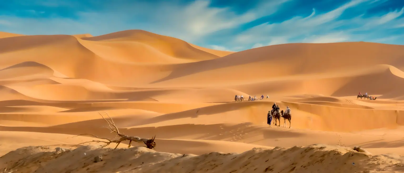 Camel ride in Morocco Sahara desert landscape