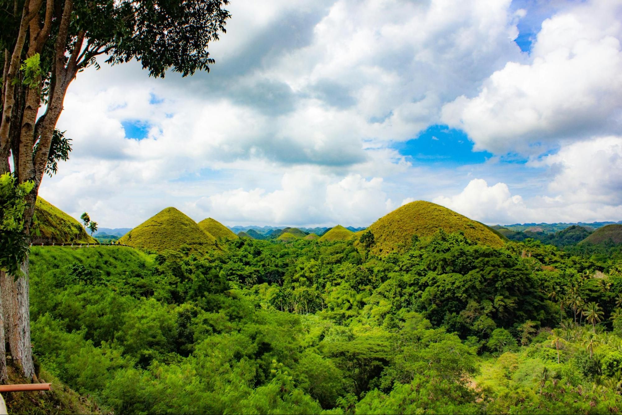 chocolate hills