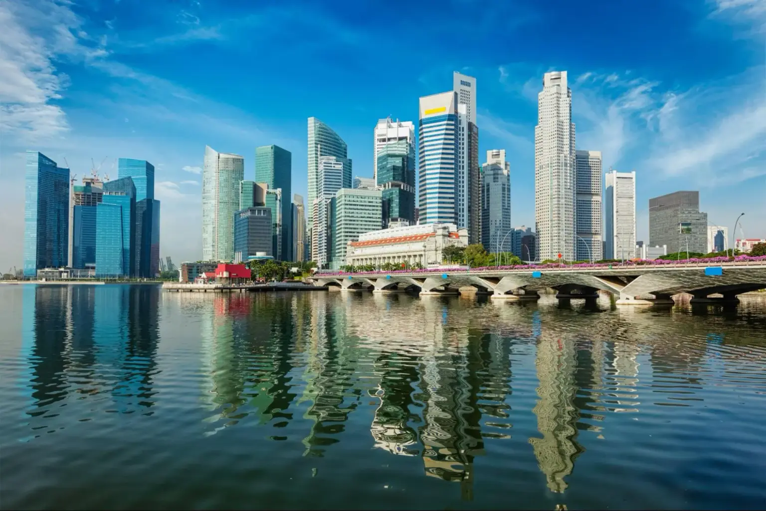 singapore arrival card