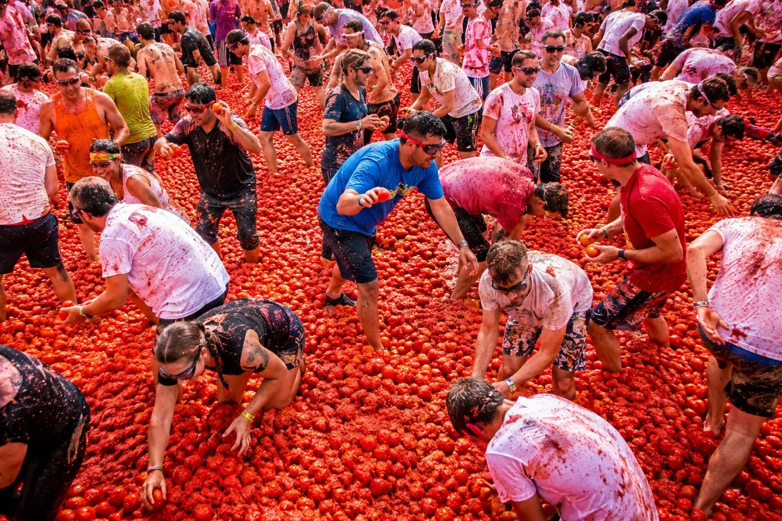 la tomatina