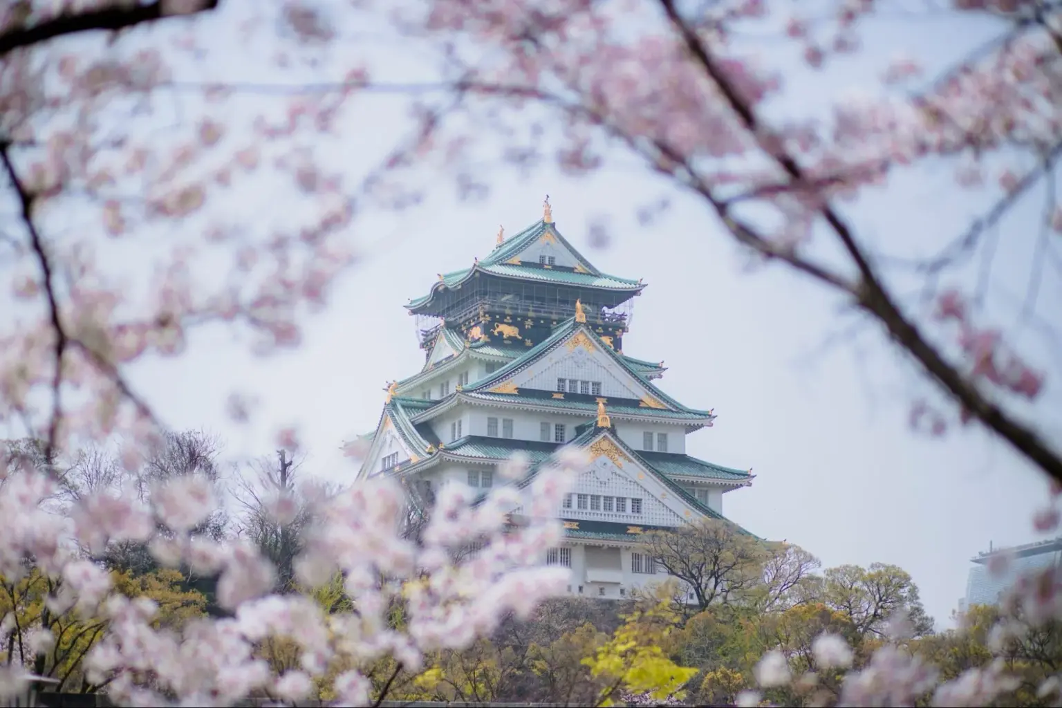 Places to visit in Osaka