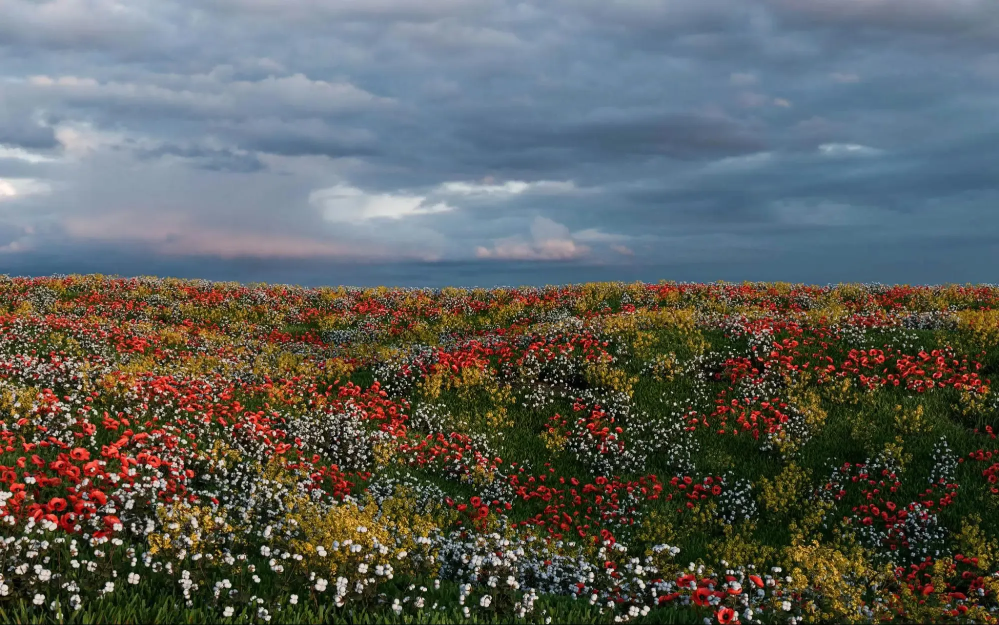 Valley of Flowers, Uttarakhand