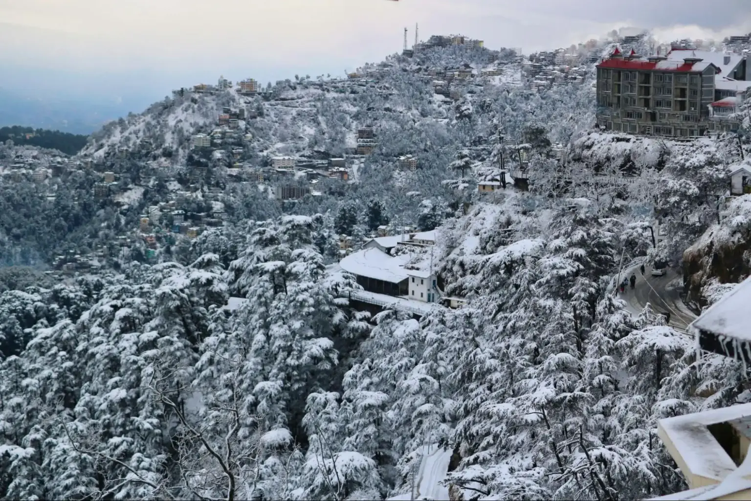 shimla snowfall​
