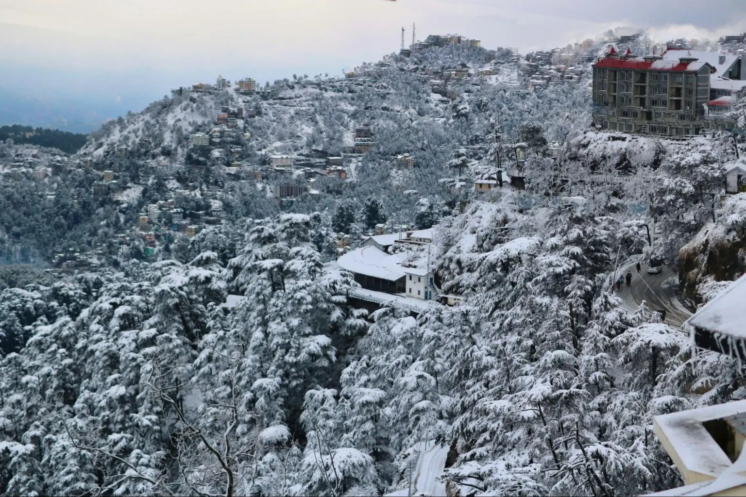 shimla snowfall​