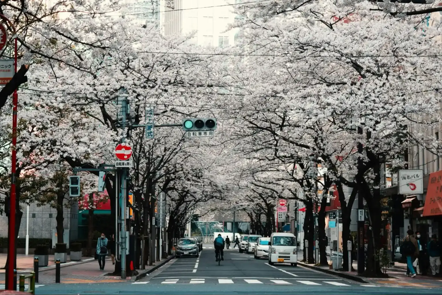 spring in japan