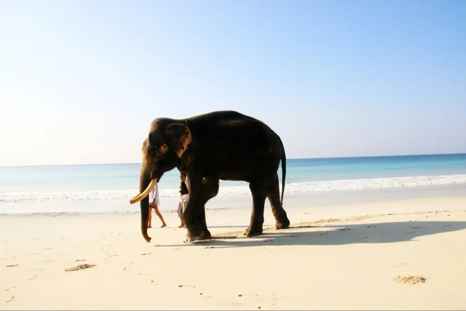 andaman and nicobar culture