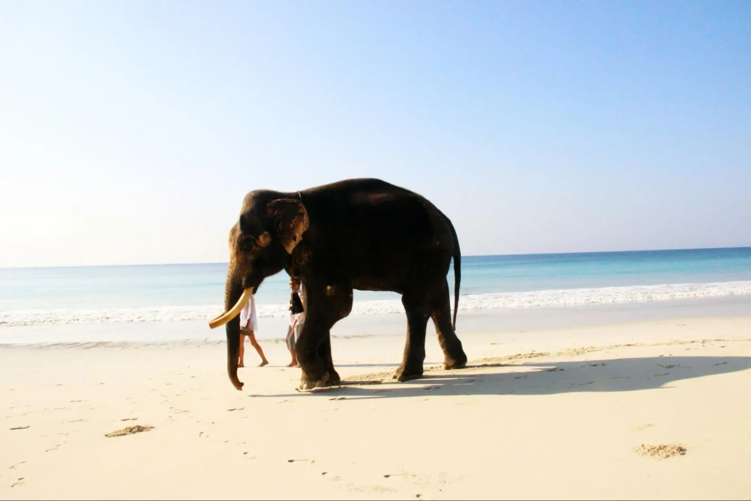 andaman and nicobar culture
