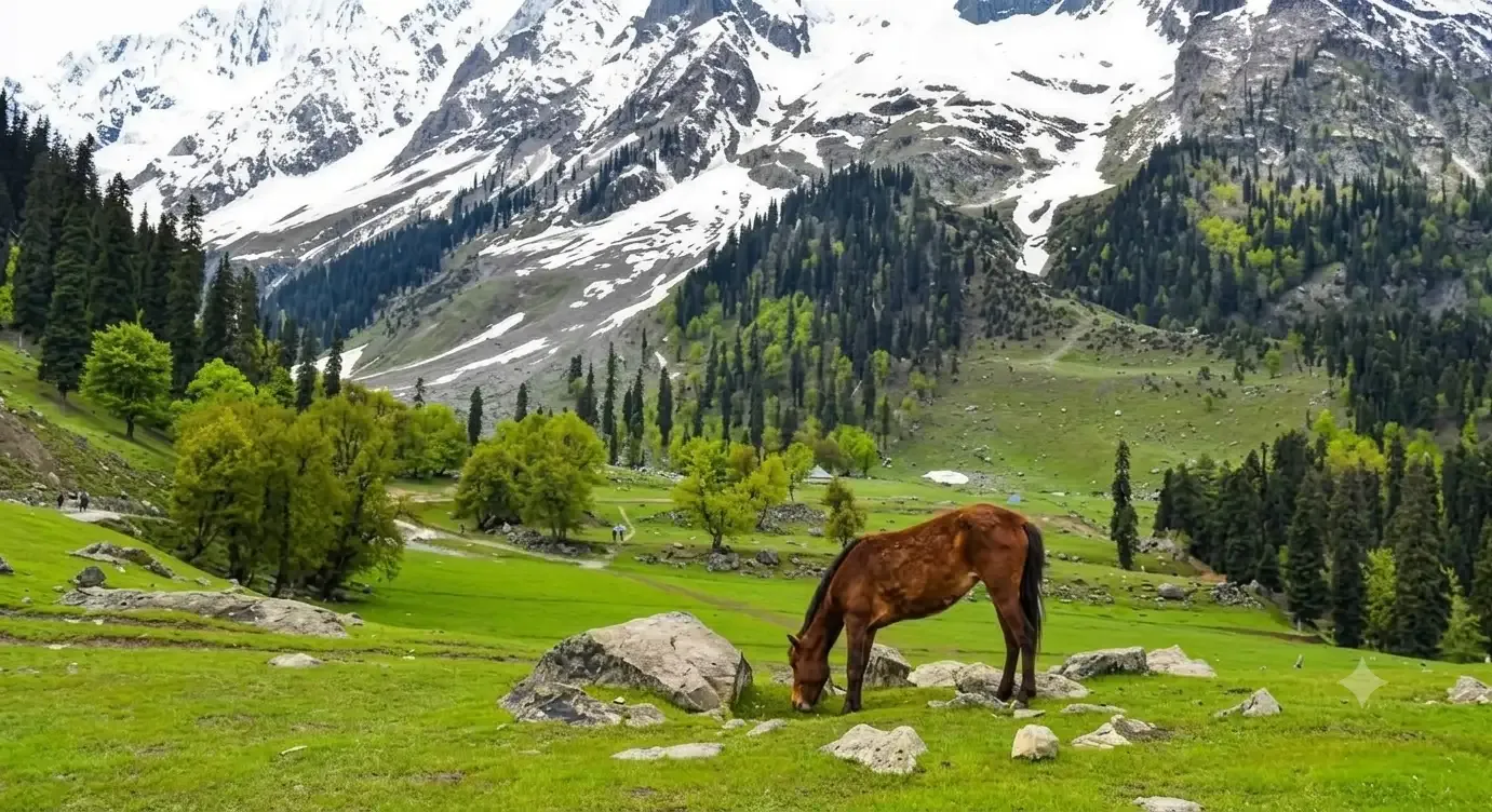 sonmarg