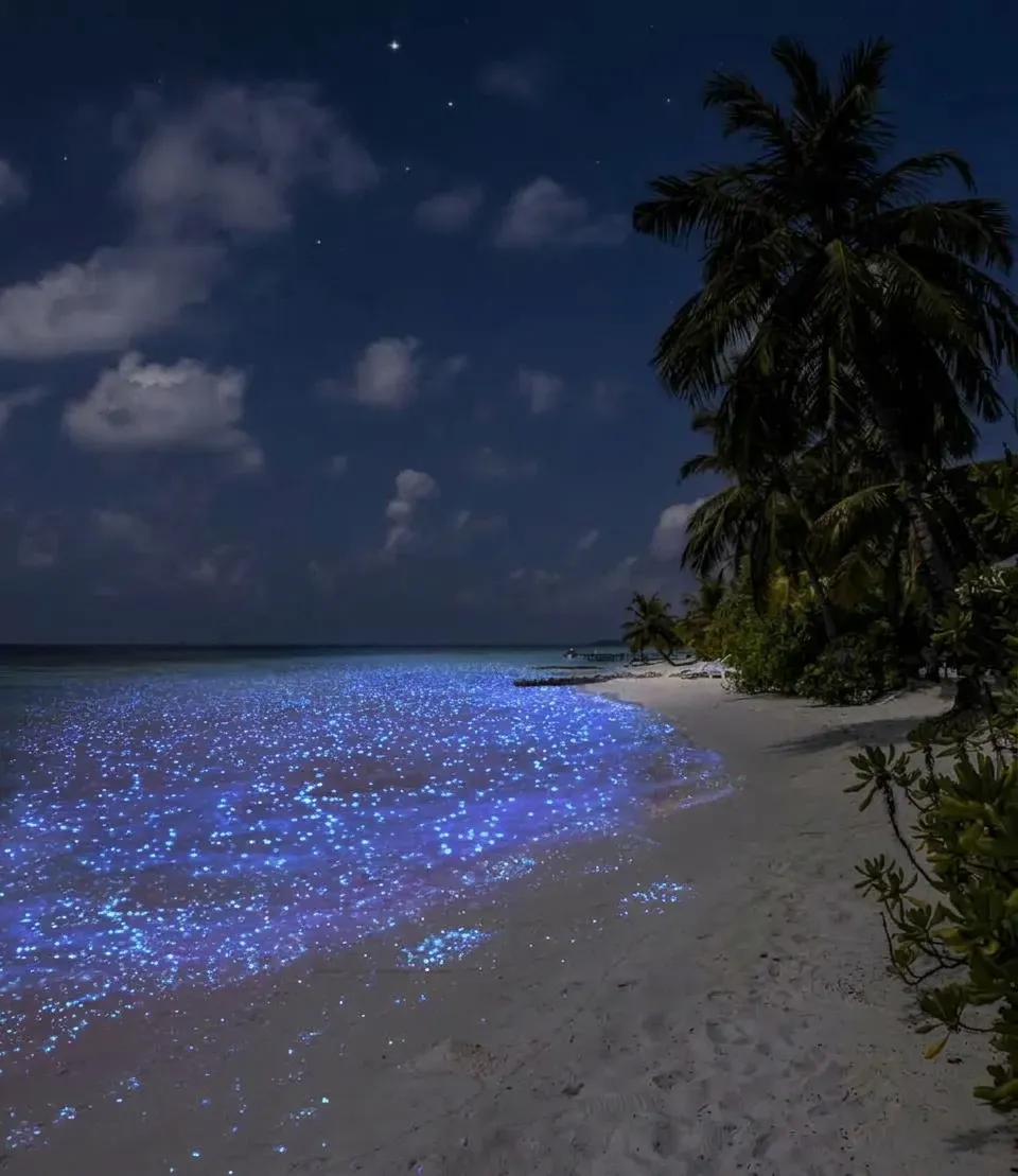 Vaadhoo Island