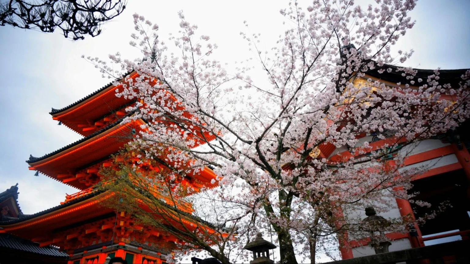 japan in December