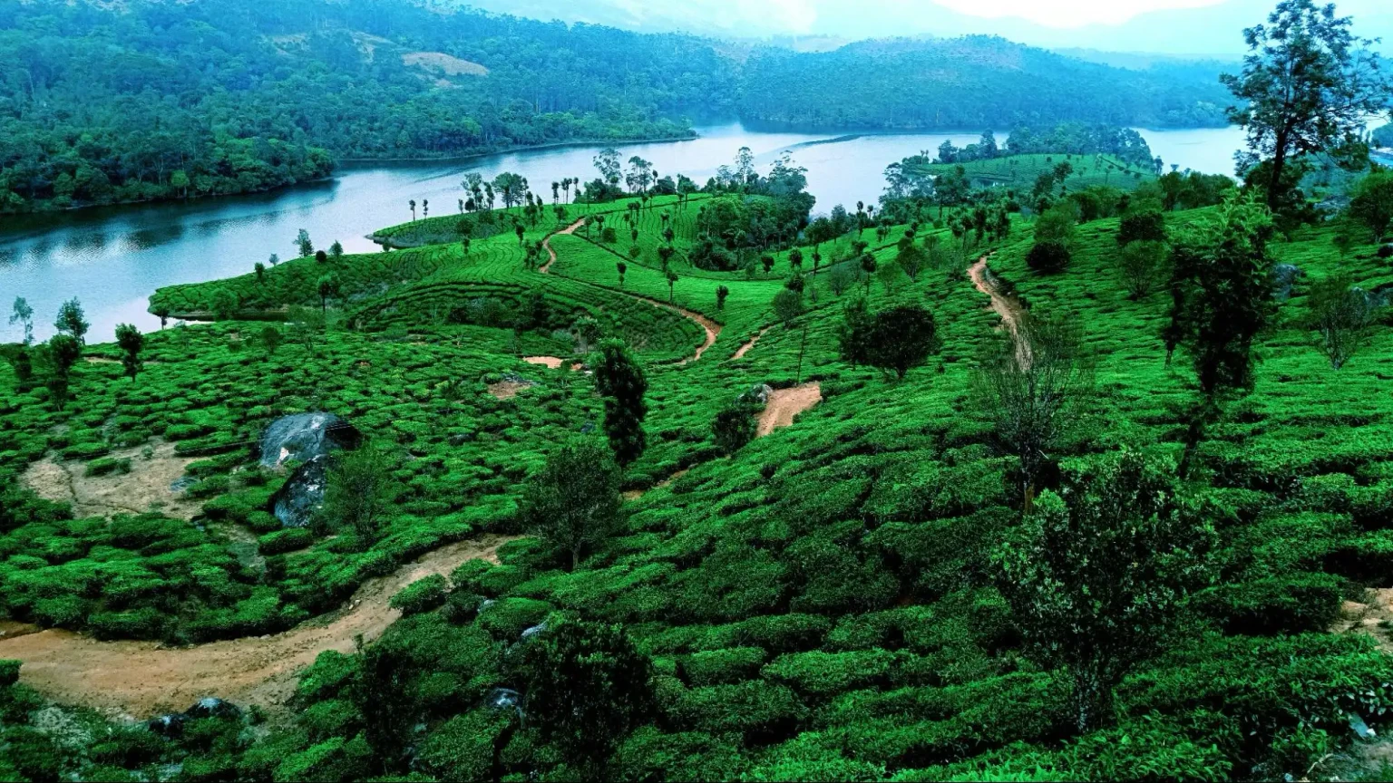 places to visit in kerala in december​