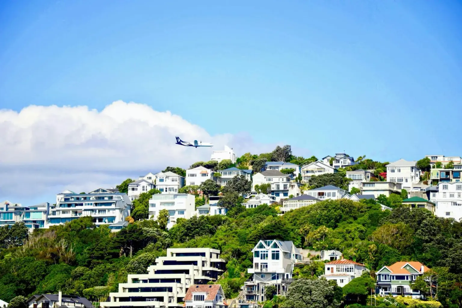wellington new zealand