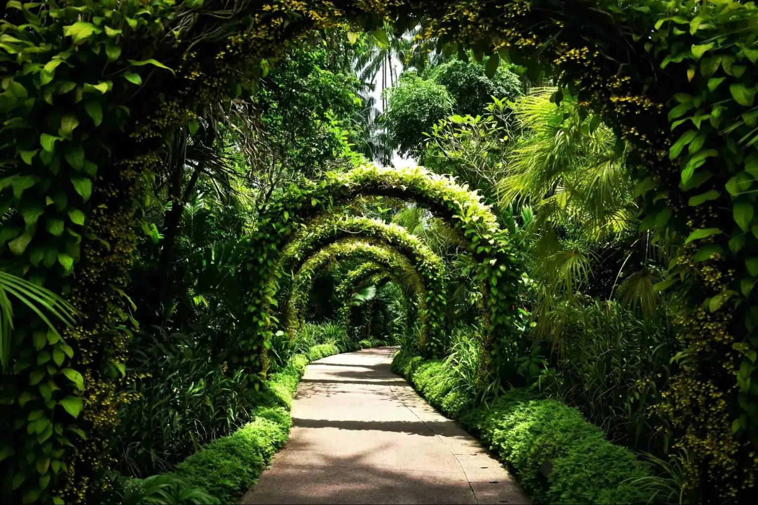 singapore botanic gardens