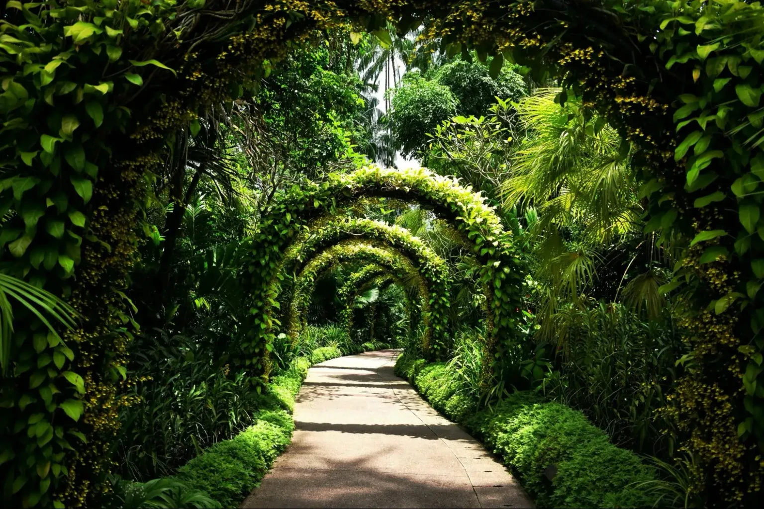 singapore botanic gardens