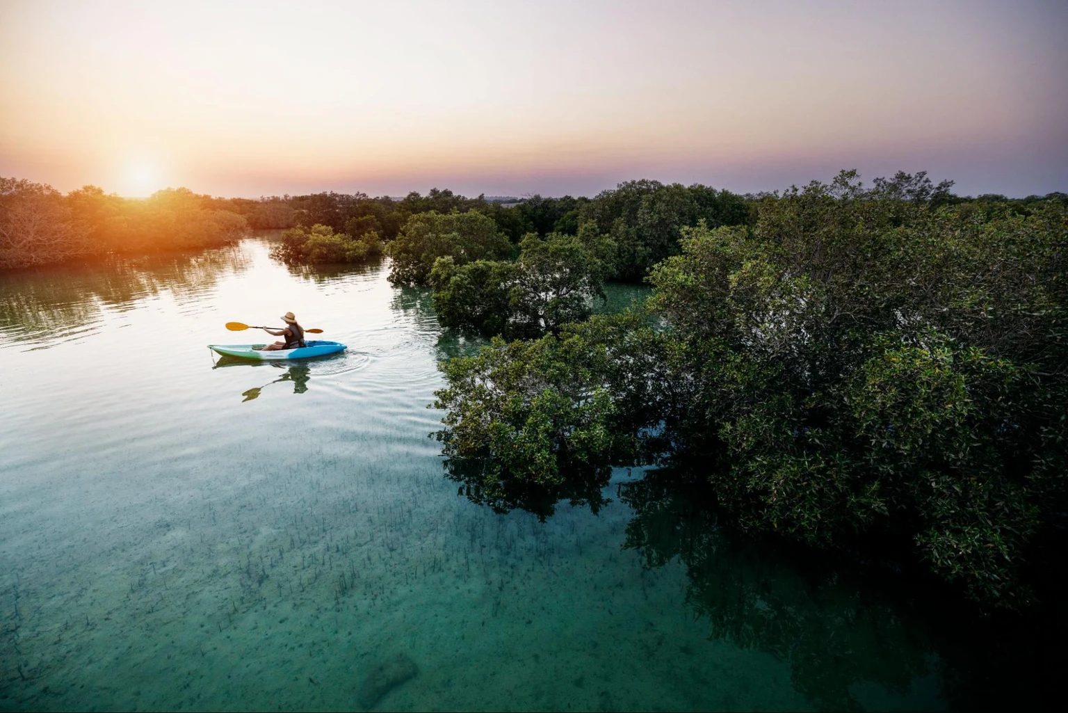 Mangrove Kayaking in Abu Dhabi