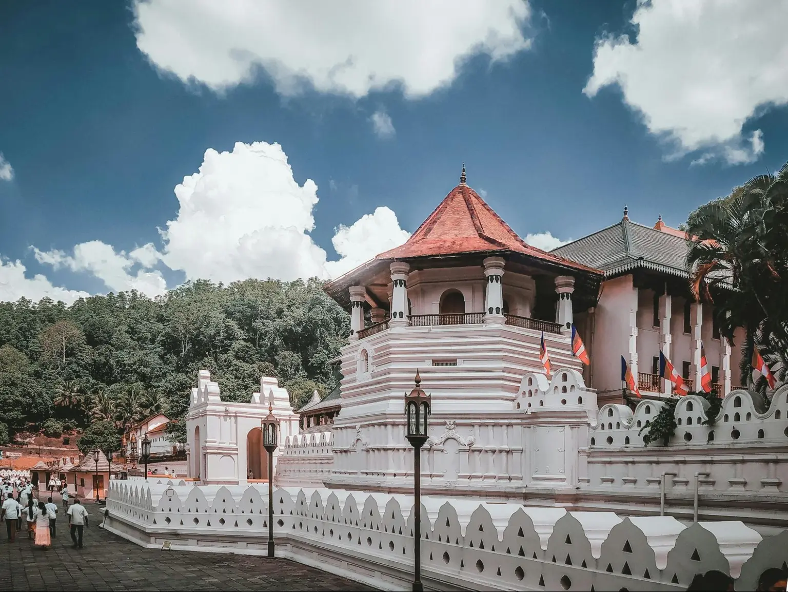 tooth relic​