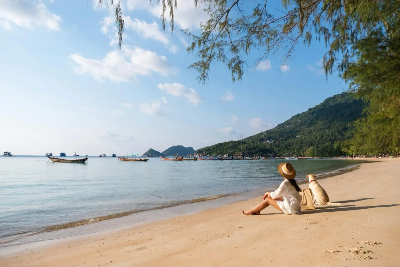 krabi vs phuket
