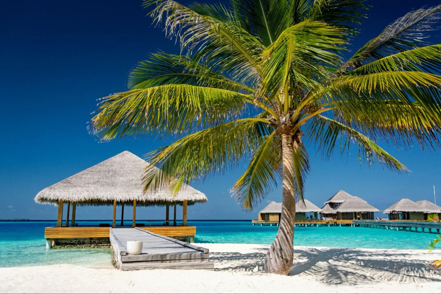 maldives honeymoon​