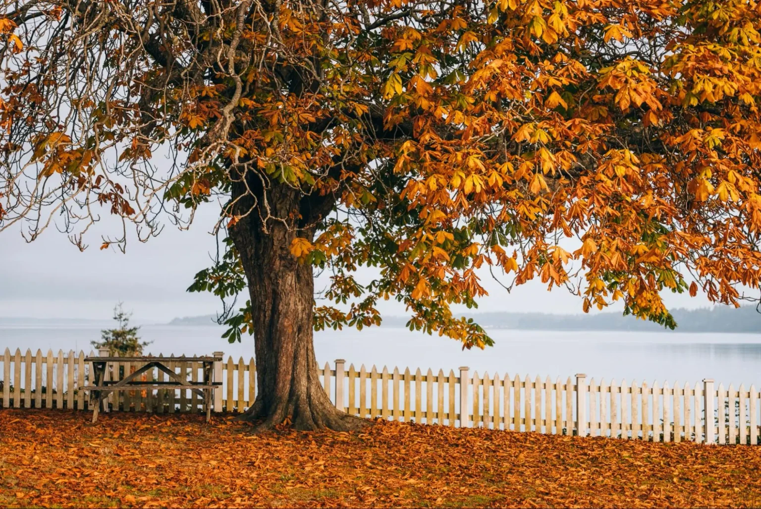 fall season in usa​