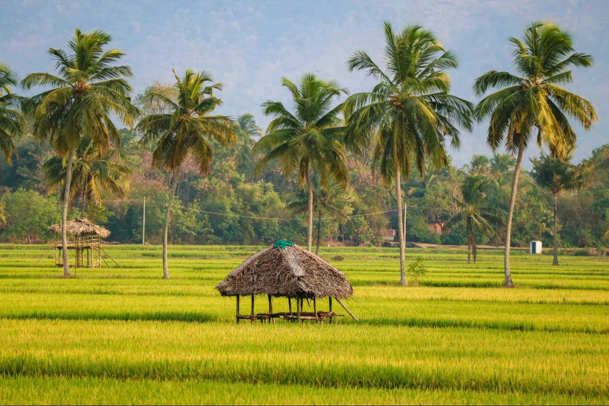 Kerala