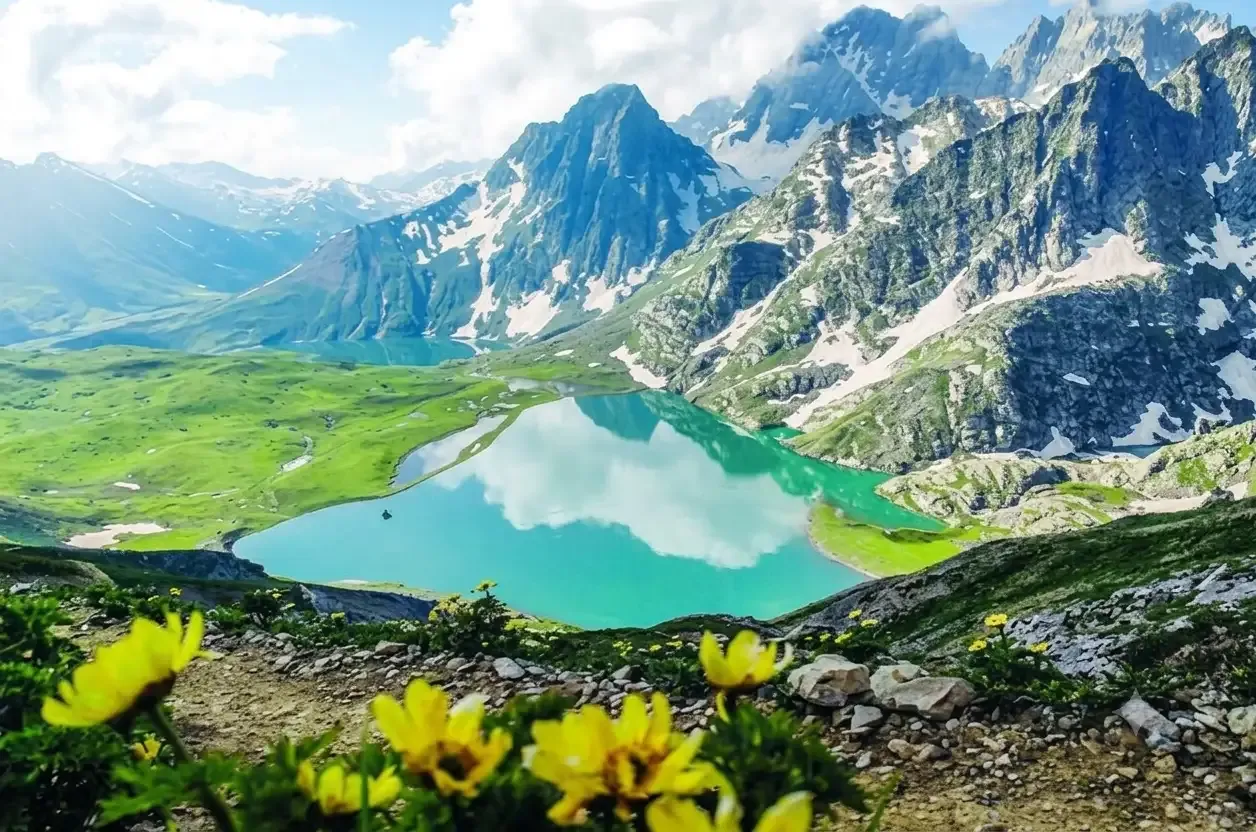 Sonmarg's Meadows