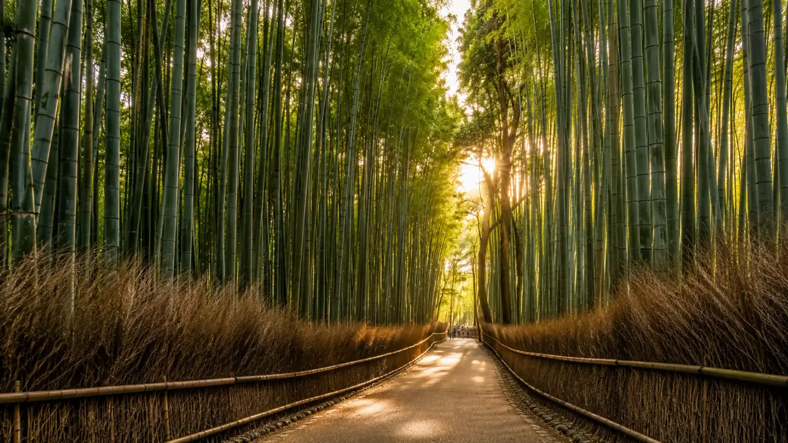 Arashiyama Bamboo Grove guide