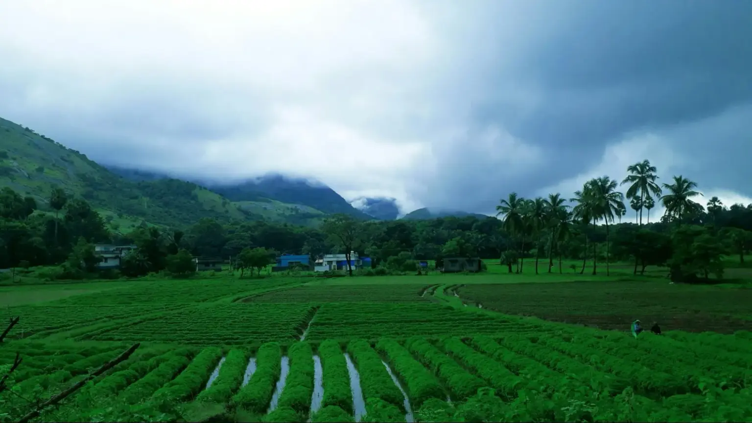 monsoon in kerala