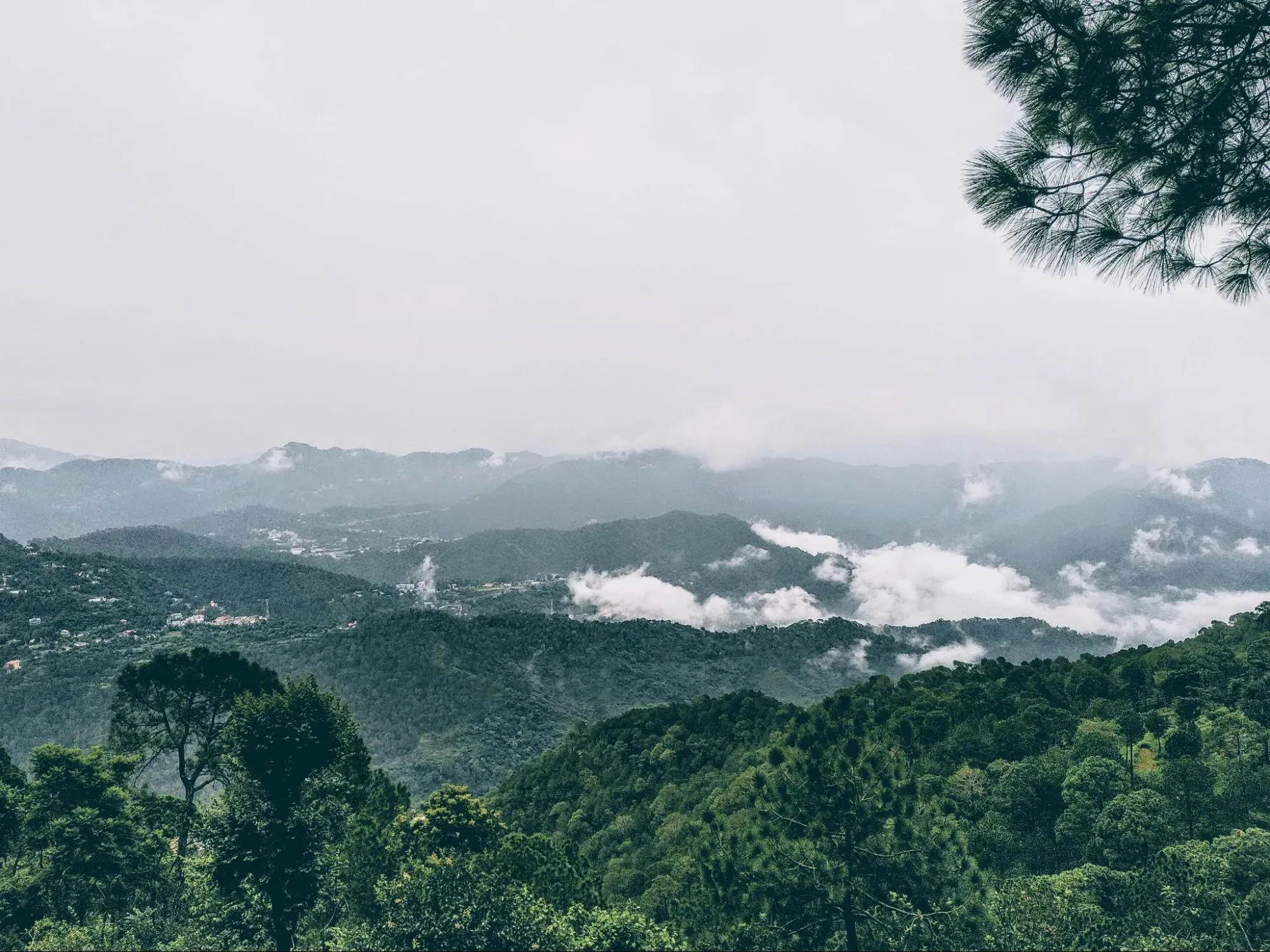 Kasauli