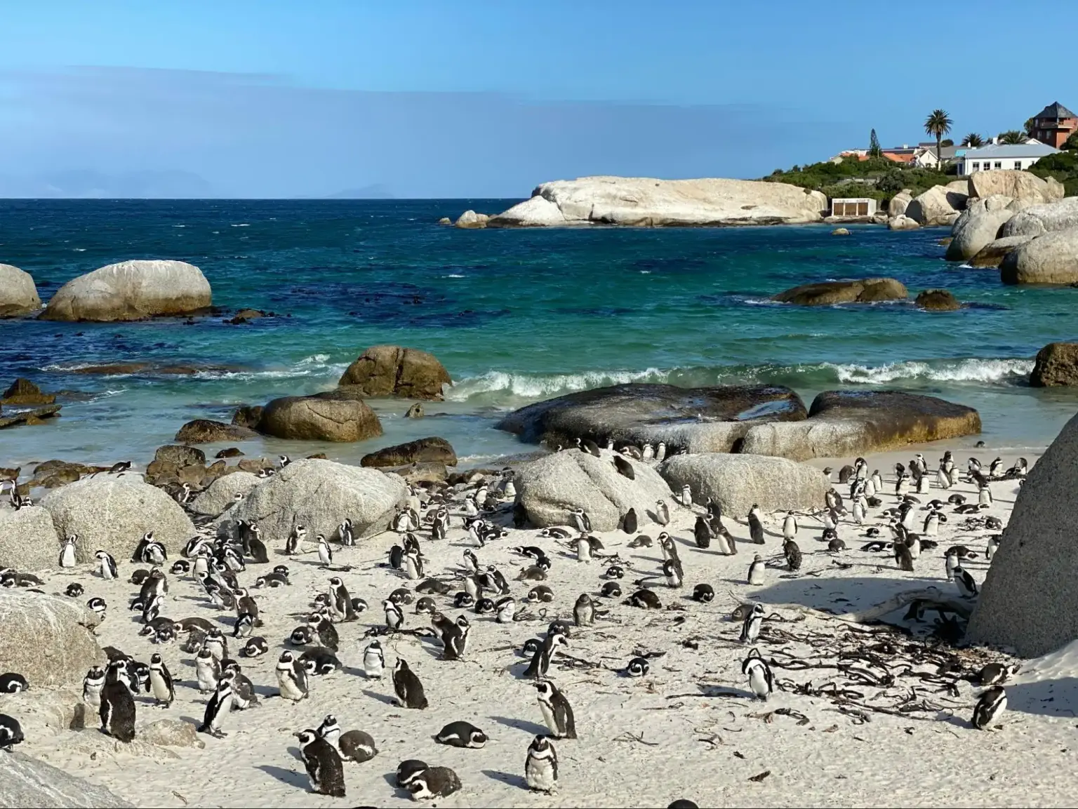 boulders beach​