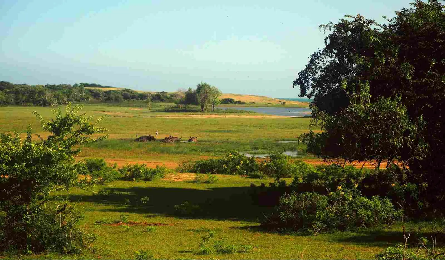 national parks in sri lanka