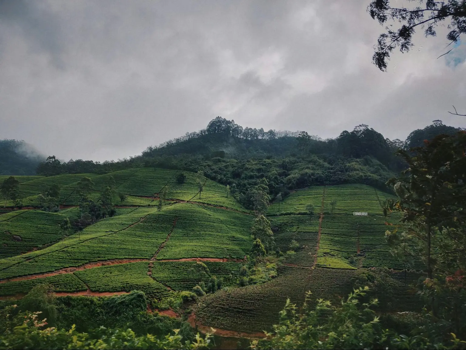 hotels in sri lanka