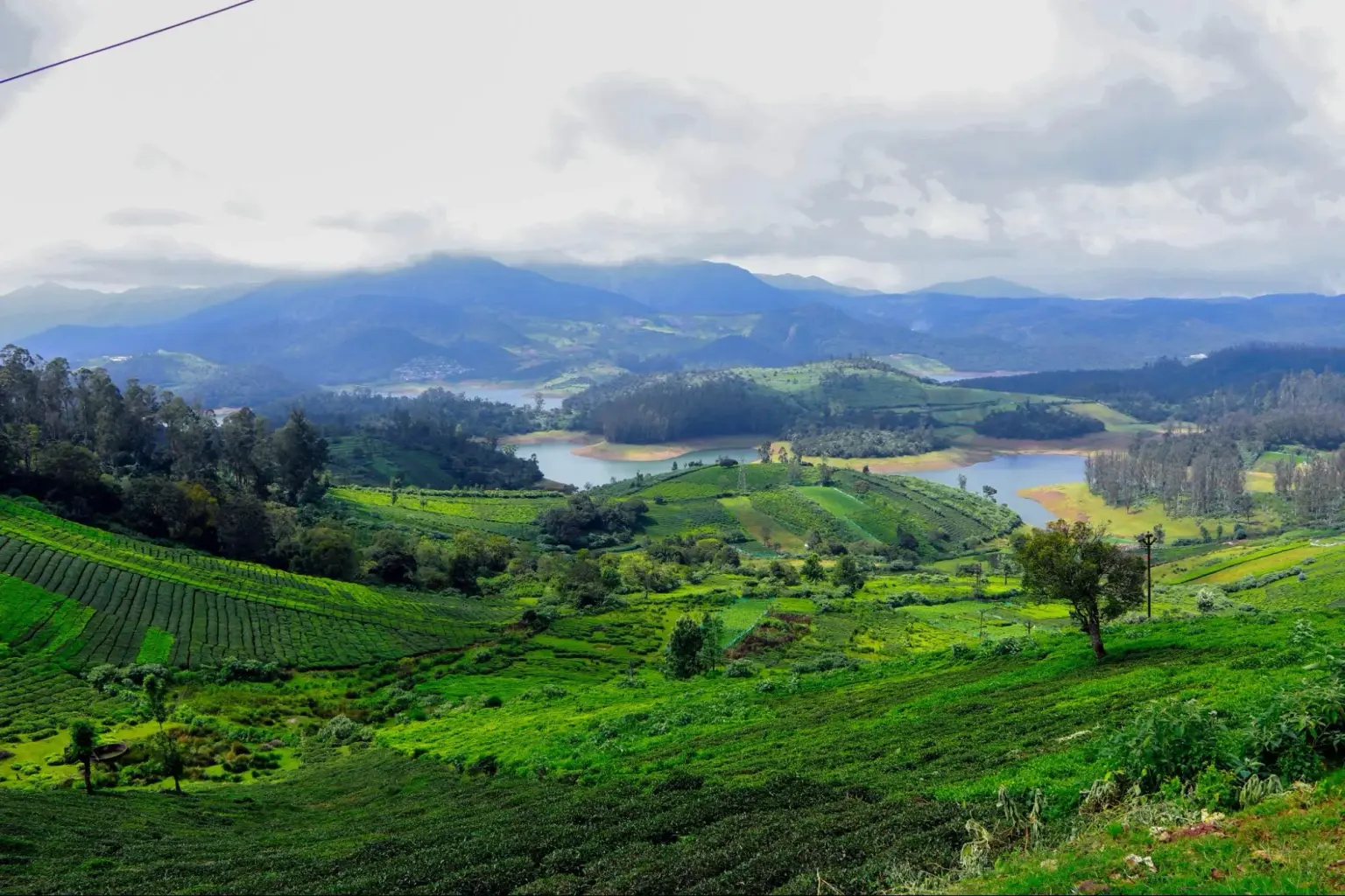 Things to do in Ooty