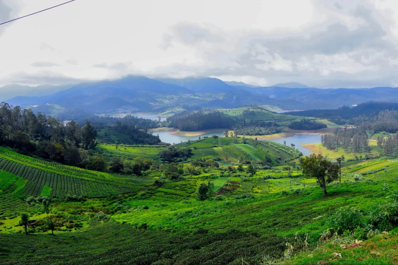 Things to do in Ooty