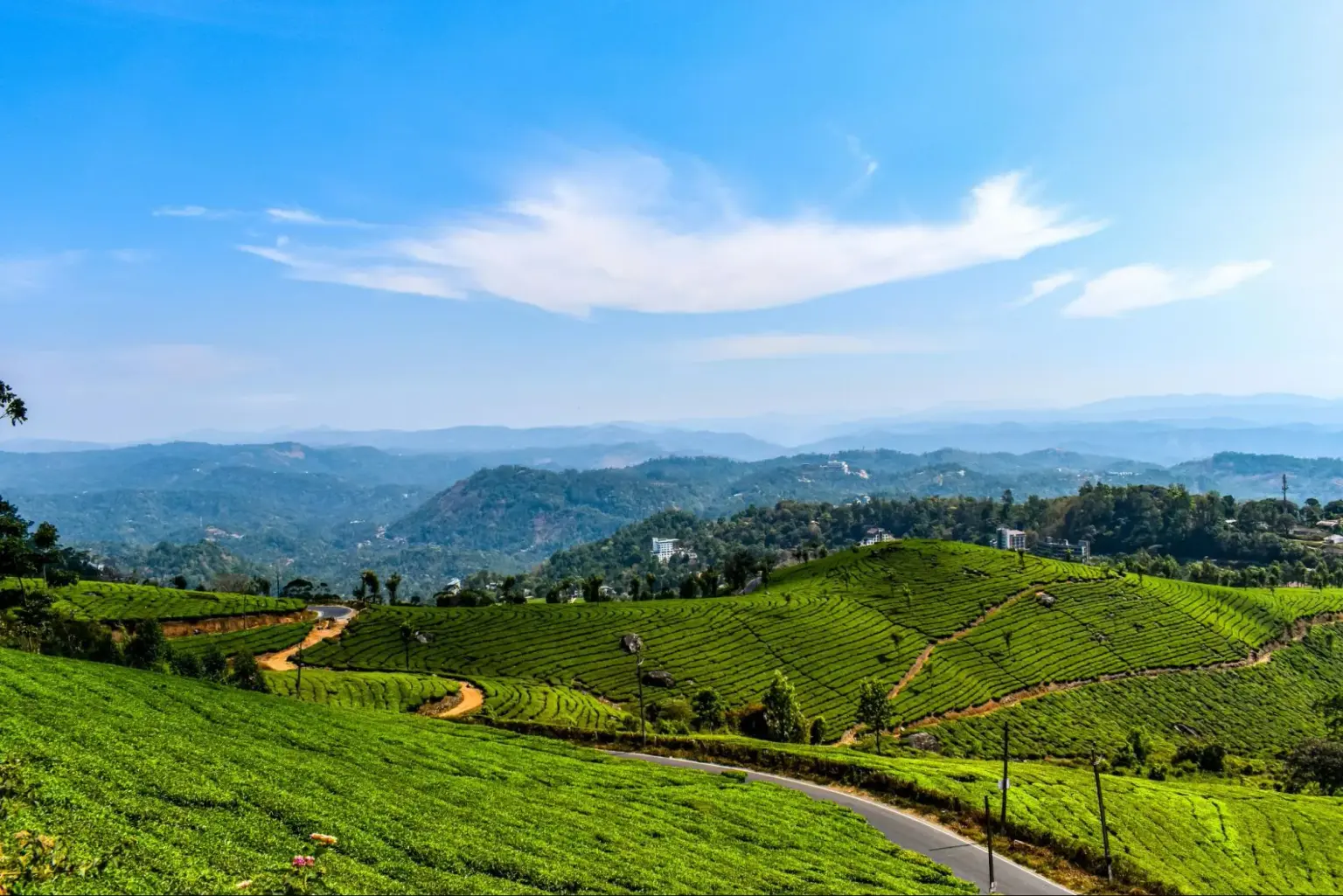 munnar kerala