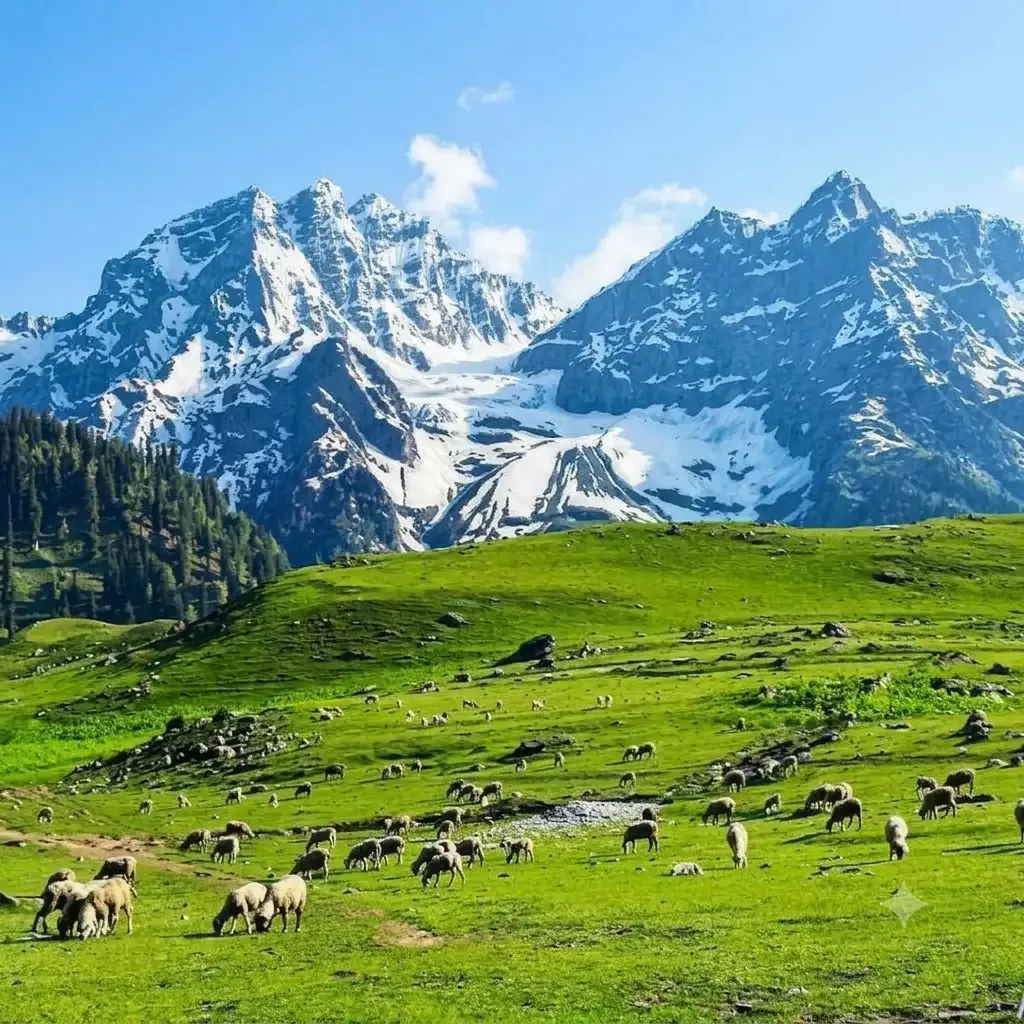 Zoji La Pass