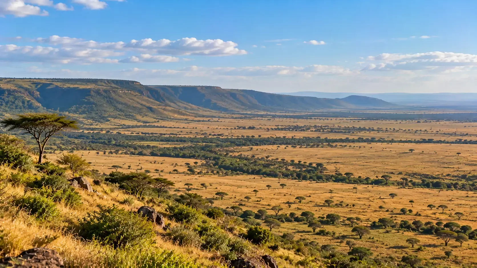 The Masai Mara National Reserve in Kenya