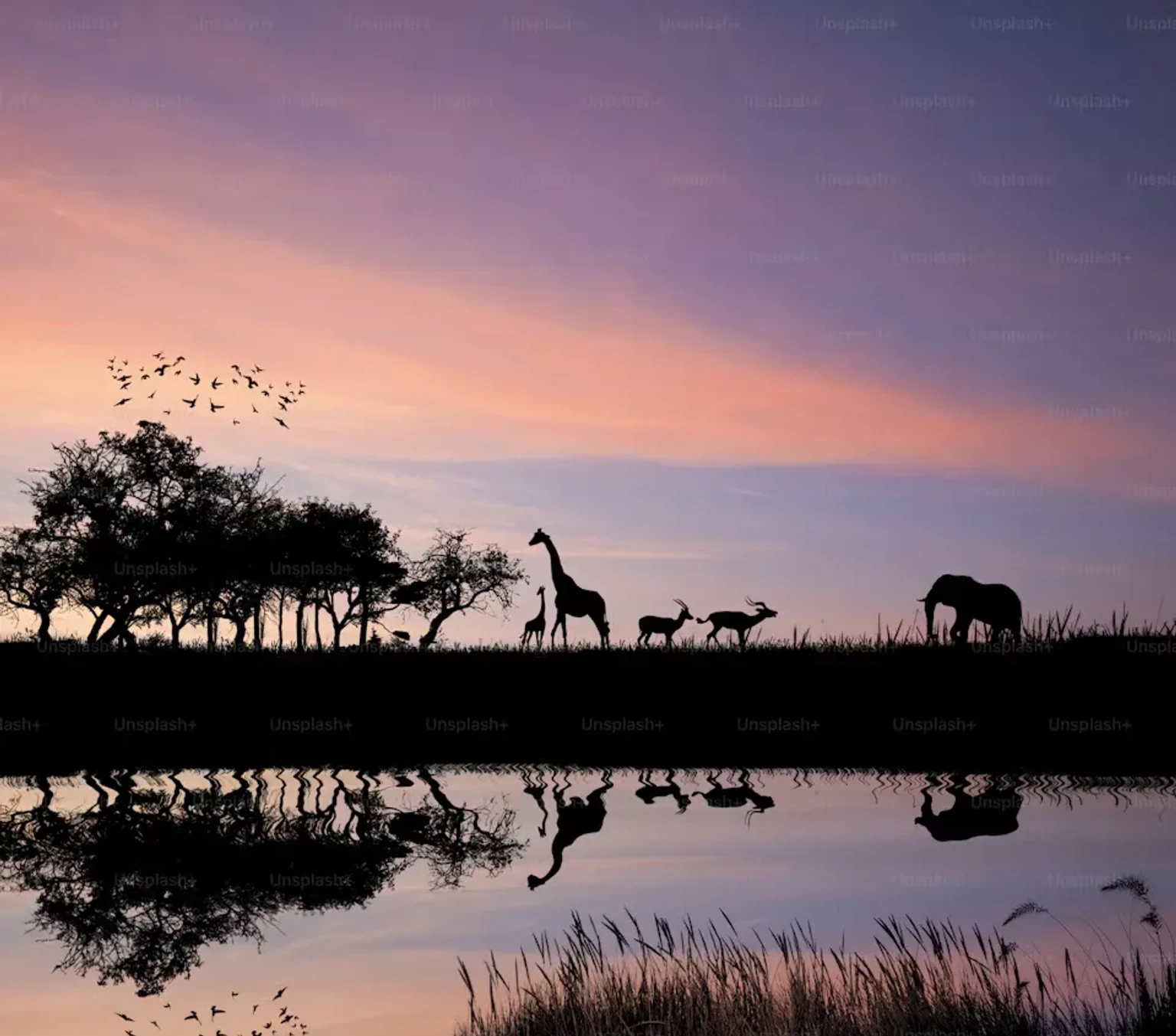 Best Time to Visit South Africa