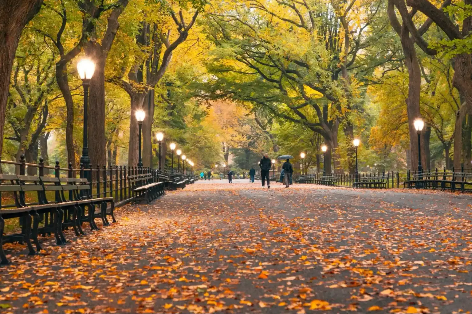 central park new york​