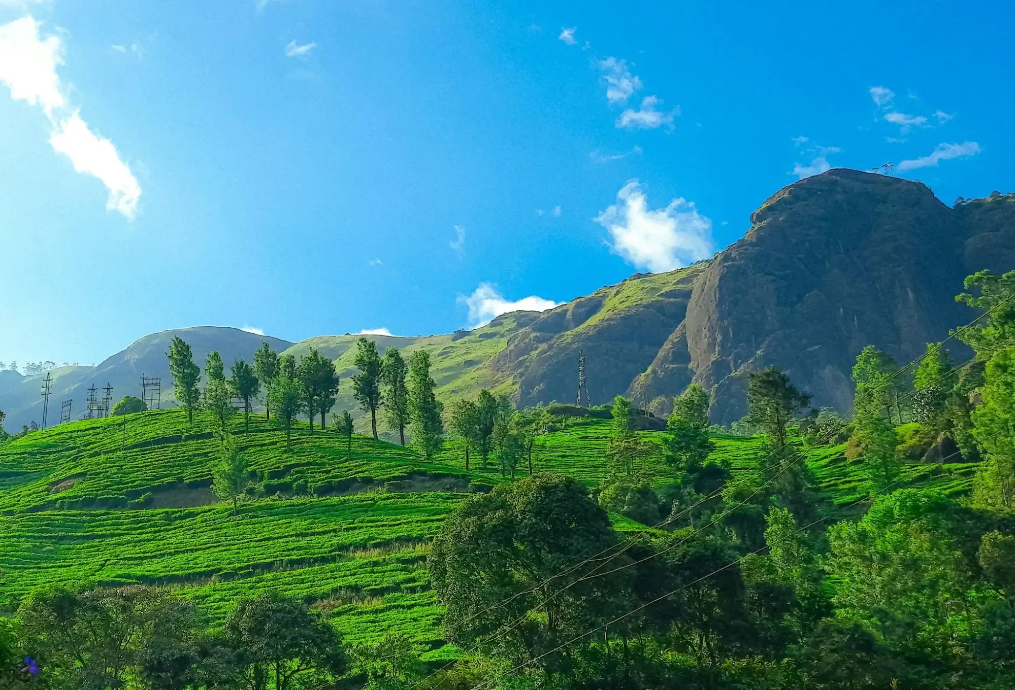 Munnar Kerala