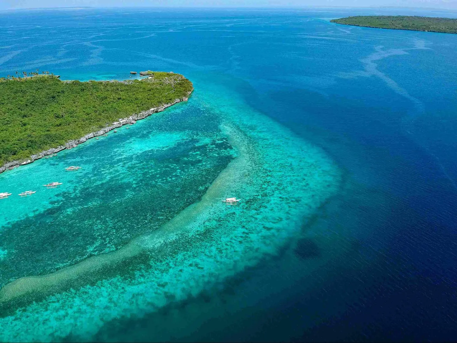 things to do in cebu