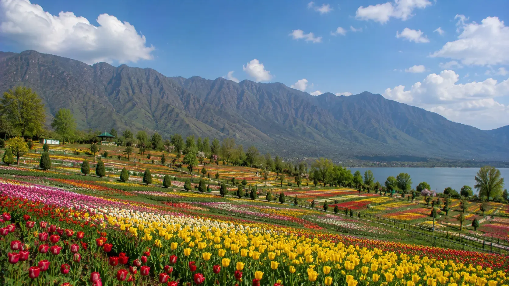 Best Time to Visit Kashmir Tulip Garden