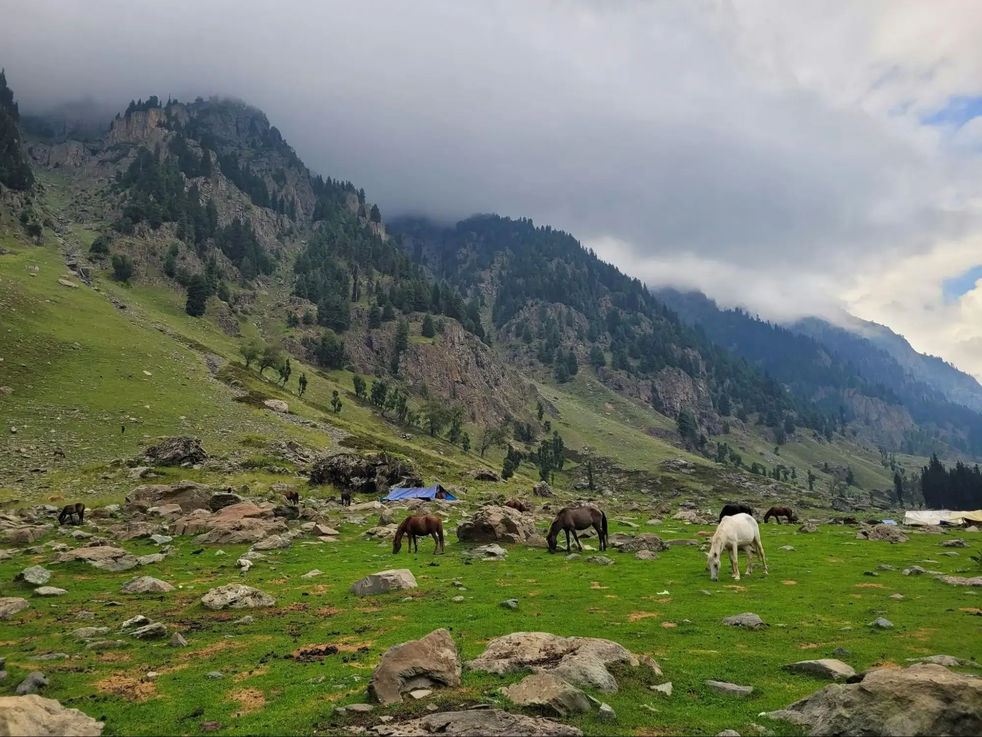 Thajiwas Glacier