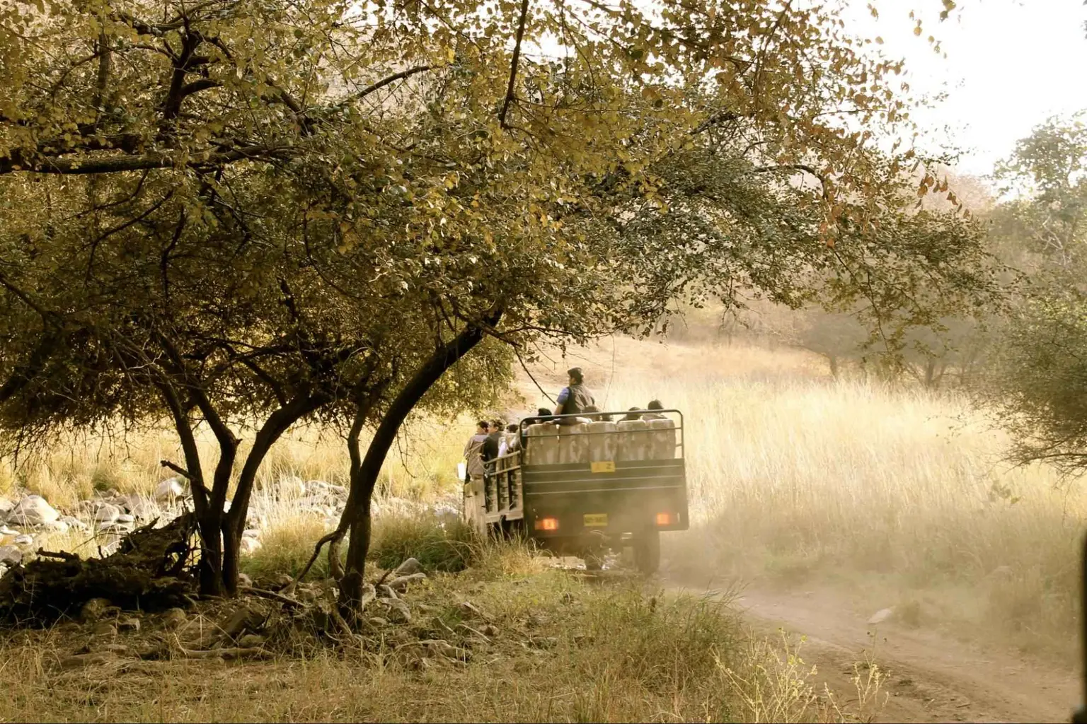 places to visit in ranthambore​