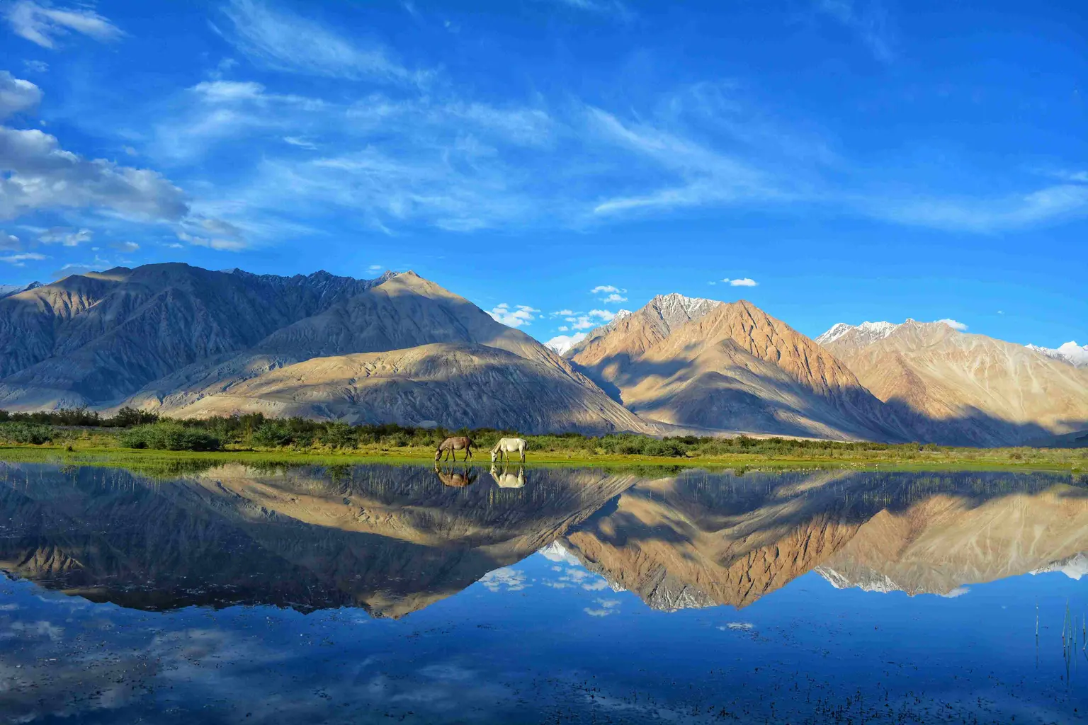 ladakh in september