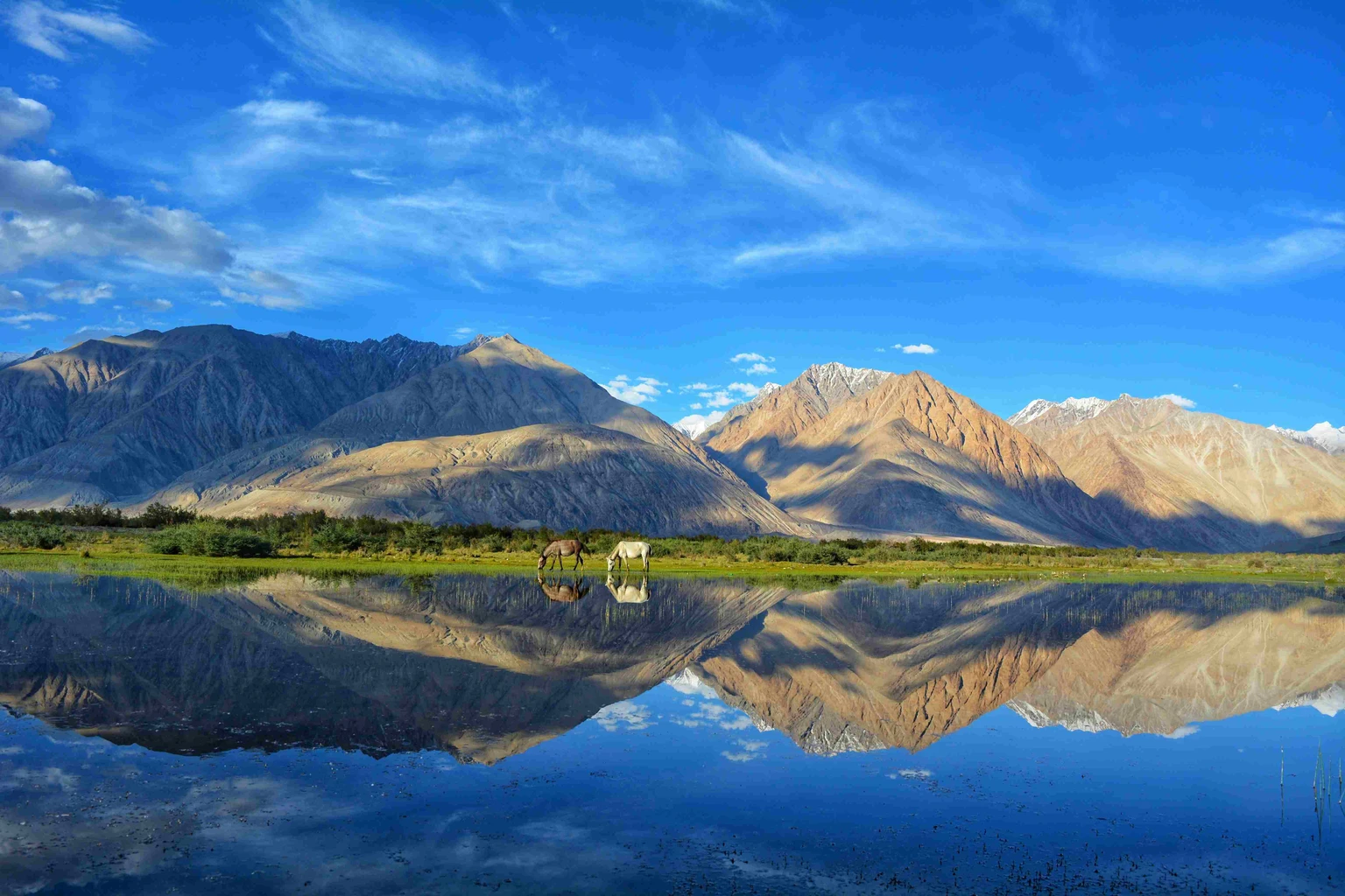 ladakh in september
