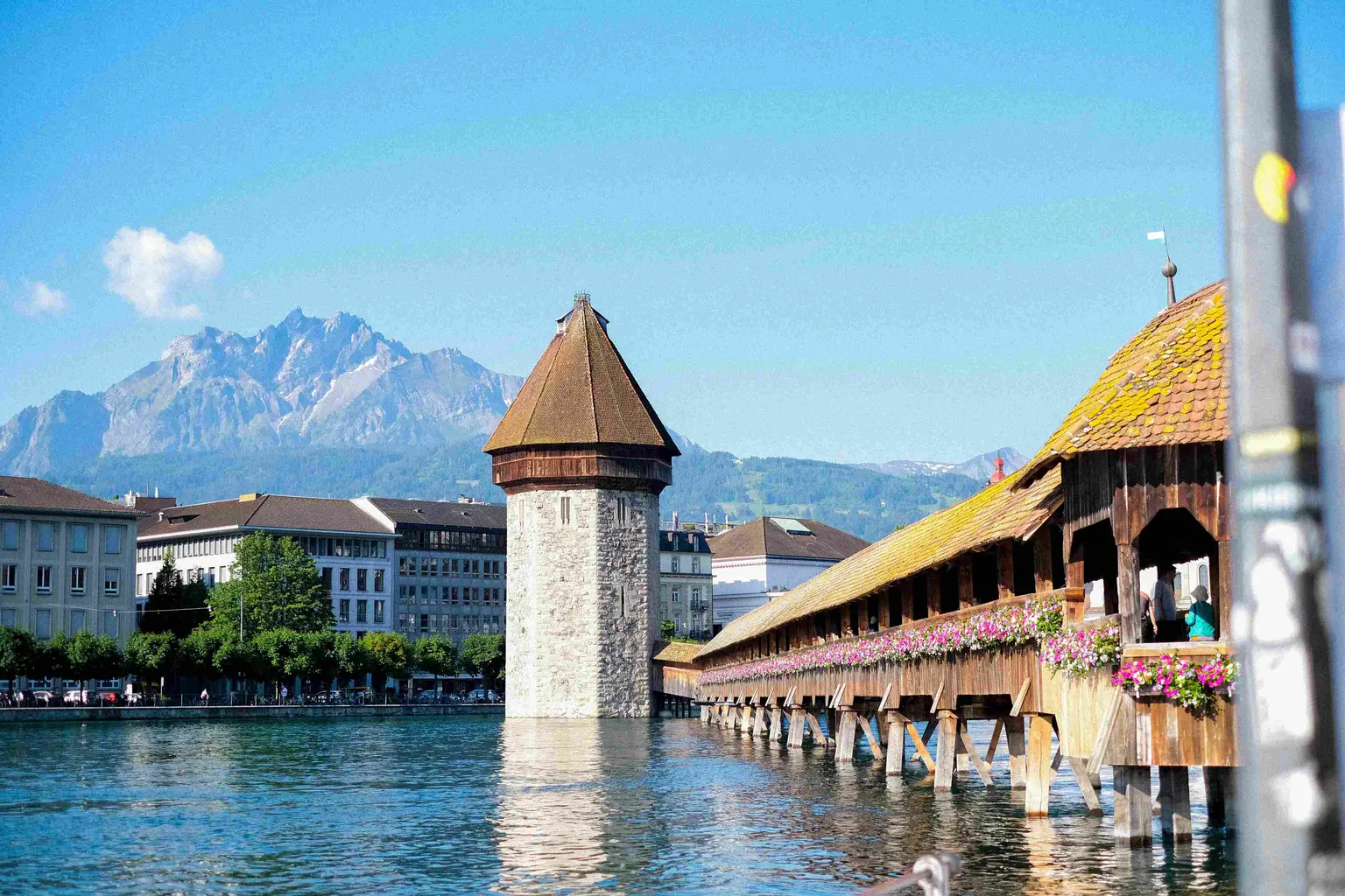 lucerne